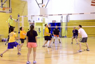 Open Play Volleyball Game