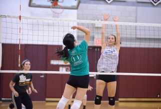 Player prepares to block in volleyball league game.