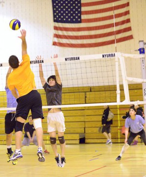 players in america's #1 Volleyball league