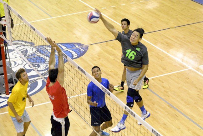 Monster spike