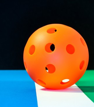 Details a pickleball
